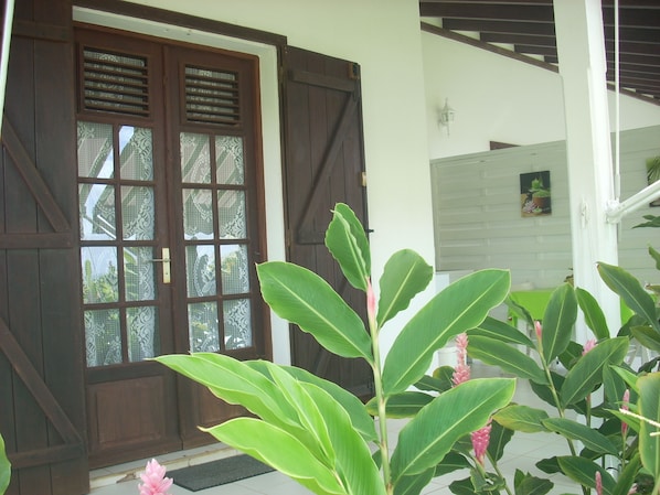 A wooden door with glass panels and a green plant in the foreground.