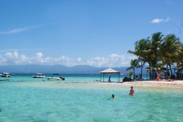 Enjoy a serene beachside retreat with a gazebo and palm trees overlooking the turquoise waters.