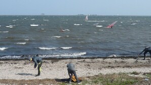 A beach with people on the shore and sailboats in the water. - Apartment on the upper floor - apartment cicilie (Maasholm)