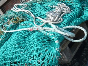 Imagen sin descripción, 3 de 37, botón