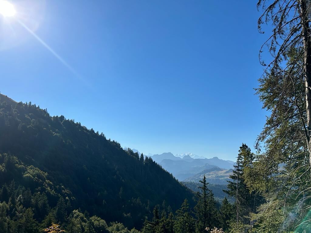 Un paisaje montañoso con denso bosque y cielo despejado.