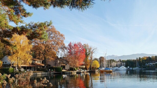 Un front de mer paisible, bordé d’arbres aux couleurs automnales, un port de plaisance avec des bateaux, et des immeubles résidentiels le long de la côte.