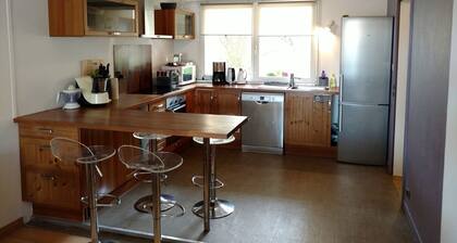 Large and Charming Apartment in Obernai