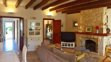 TV, fireplace, DVD player