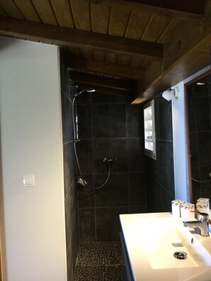 Shower, hair dryer, towels, toilet paper
