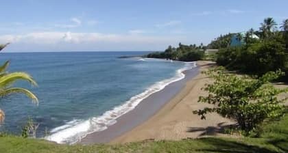 2 BR/2BA Ocean View Poinciana Condominium