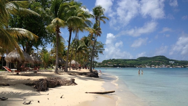 A beach with palm trees, thatched-roof huts, and clear blue water.