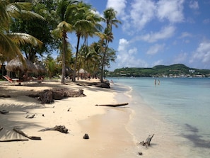 A beach with palm trees, thatched-roof huts, and clear blue water.
