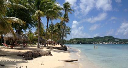 Studio Sainte Anne vue mer panoramique exceptionnelle