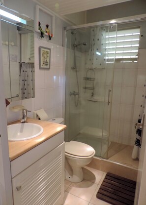 Shower, hair dryer, towels