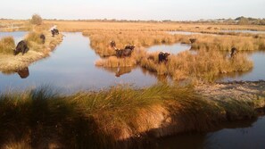 Luokittelematon kuva, 4 kautta 16, painike