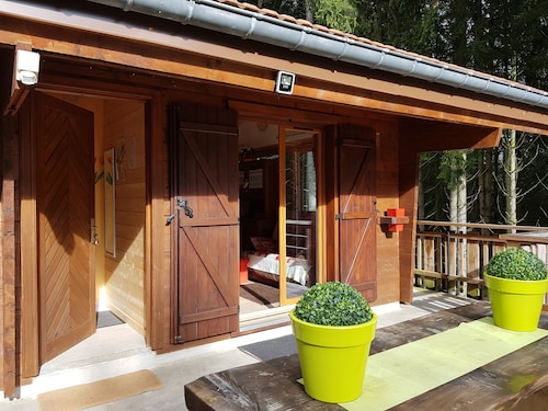 Chalet les Mésanges cocooning, quiet, on the edge of the Vosges forest