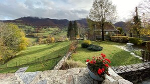 A stone wall with a potted red flower plant, a stone pathway, and a view of a green field and mountains in the distance. - 4* TYPICAL HOUSE IN BARRIADE 4 pers (Mandailles)