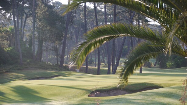 Ein Golfplatz mit Sandbunkern und hohen Bäumen im Hintergrund.