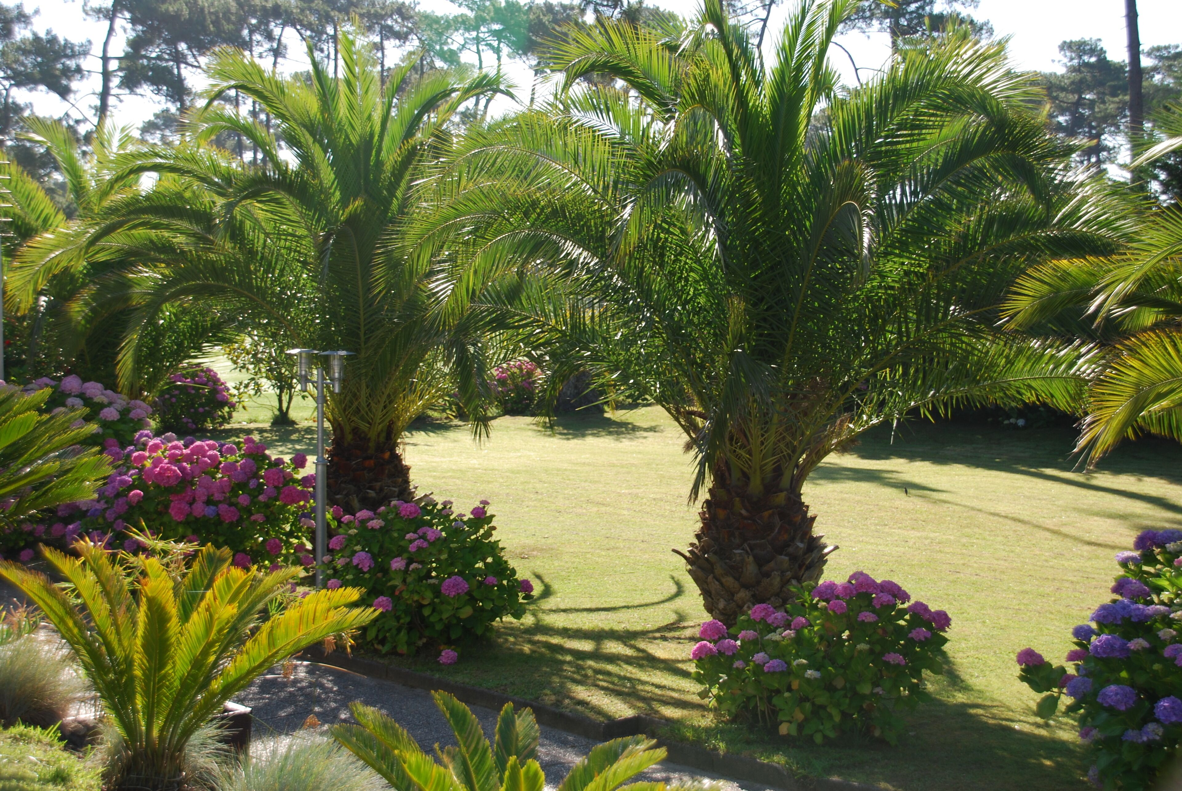 Jardines del alojamiento