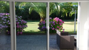 Blick durch eine Glastür in einen Garten mit Hecken und Rasenfläche.