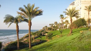 Paisaje costero con palmeras, una ladera cubierta de hierba y un edificio al fondo.