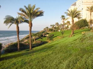 Property grounds - Breathtaking Views - Steps to the Beach and the Center of Town (Netanya)