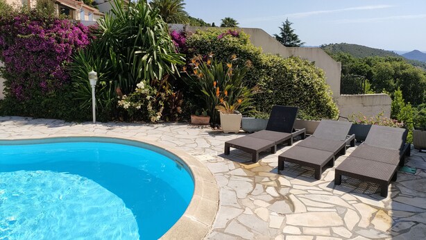 A pool area with lounge chairs and potted plants.