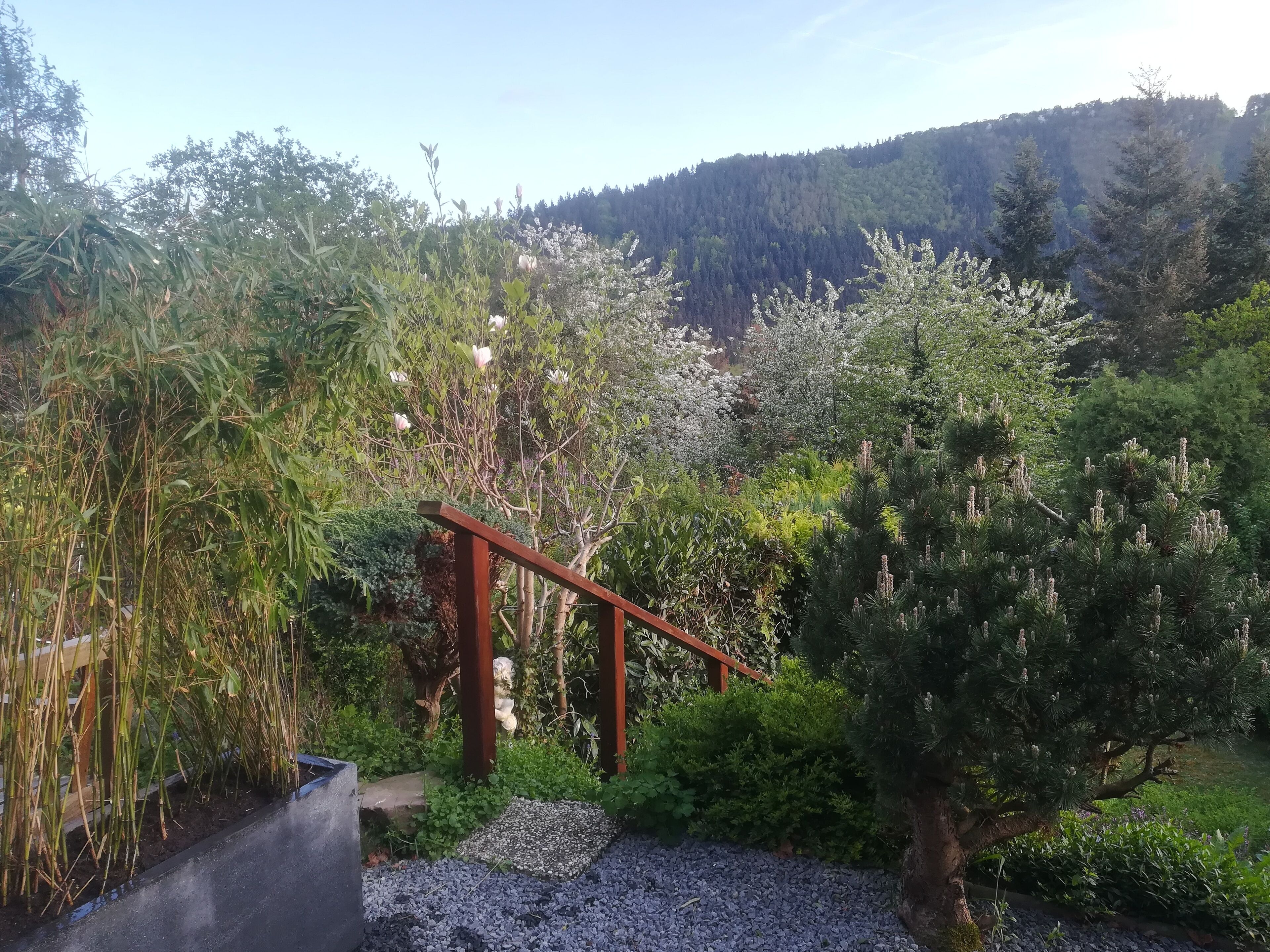 Overnatningsstedets område