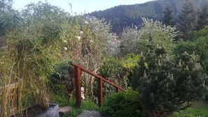 En trädgård med en träpergola, olika växter och en grusgång.