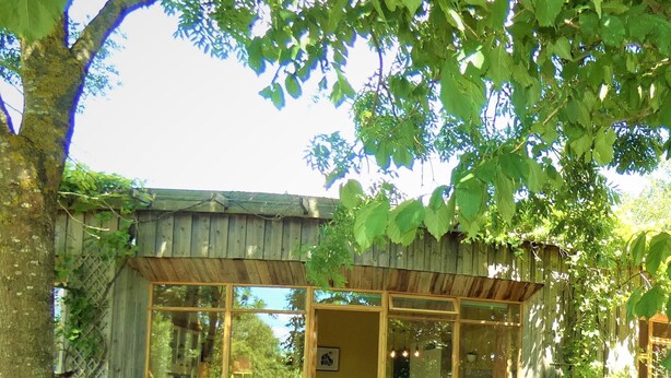 Un bâtiment rustique en bois, doté de grandes fenêtres, d’un chemin de pierre et d’un jardin agrémenté de rochers et de plantes.