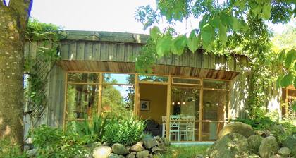 Vue lointaine dans le Tollensetal dans la nature charmante des Tollensetales