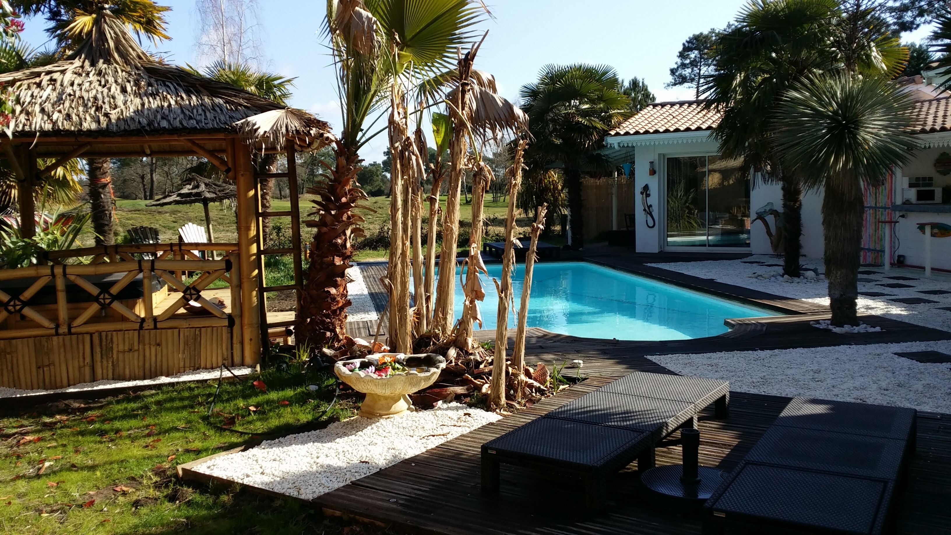 Un espace piscine agrémenté d’un gazebo à toit de chaume, de chaises longues et d’un palmier.