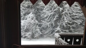 Une fenêtre donnant sur des arbres couverts de neige et un balcon en bois.