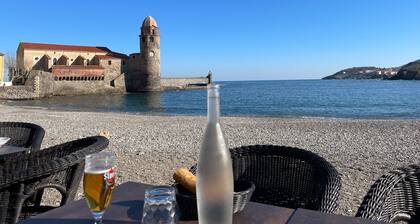 Jolie maison de village de caractĂšre Ă Laroque des AlbĂšres avec terrasse.