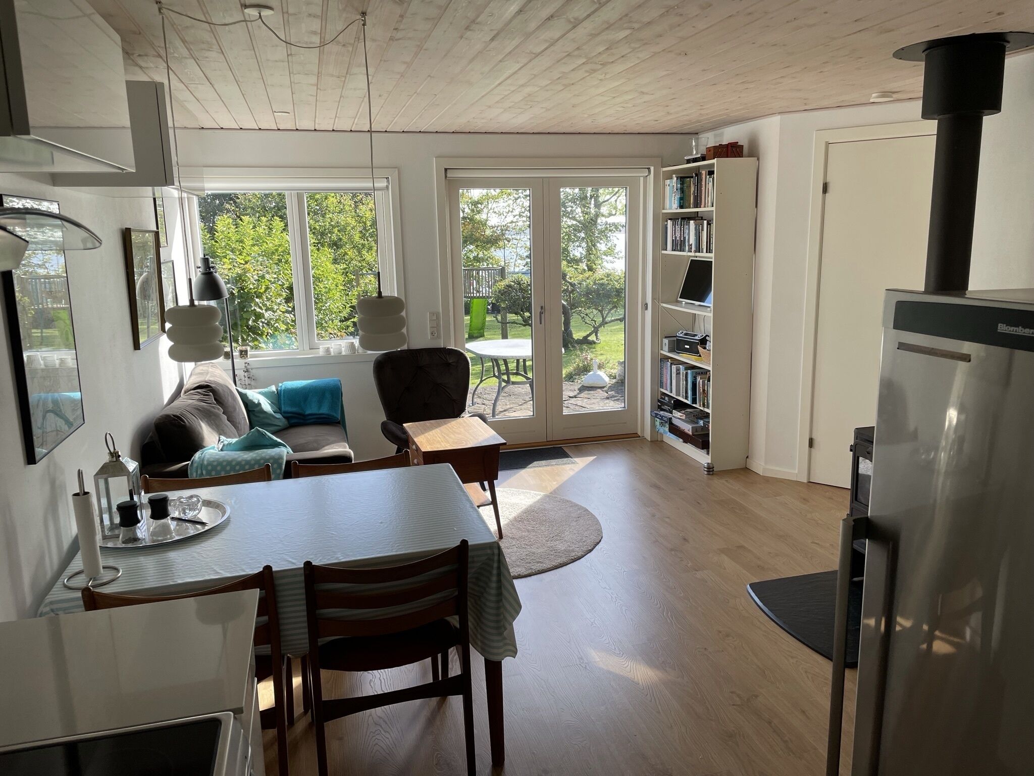 Televisión, chimenea, reproductor de DVD, libros