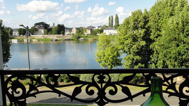 Vista de un río con edificios y árboles al fondo, tomada desde un balcón con barandilla decorativa.