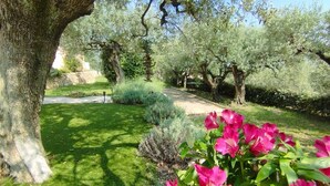 A garden with a large tree, a pathway, and pink flowers in the foreground. - beautiful house in olive grove, infinty pool and hot tub, panoramic view 8 pax (Callas)