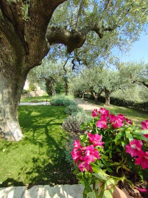 Terrein van de accommodatie