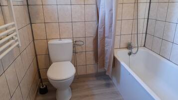 A bathroom with a toilet, a shower, and a bathtub.