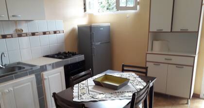 COLOMBE says welcome to Martinique