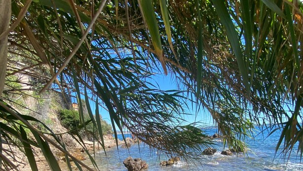 A clear view of a rocky shoreline with clear water, surrounded by greenery and a distant view of the sea. - SUPER CANNES / GOLFE JUAN LUXURY APARTMENT SEA IMPRENABLE SEA. PRIVATE FLOOR (Vallauris)