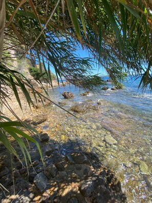Una vista despejada de una costa rocosa con aguas cristalinas, rodeada de vegetación y una lejana perspectiva del mar.