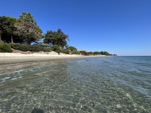 Nära stranden