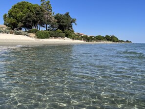 Nära stranden