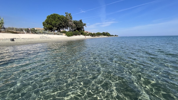 Une plage propre avec une eau peu profonde, un rivage sablonneux et des arbres en arrière-plan.