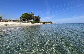 Una playa despejada con aguas poco profundas, una orilla arenosa y árboles al fondo.