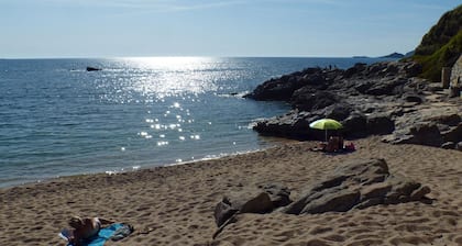 Rez-de-jardin, avec accÚs direct à la plage.Au calme, équipé, climatisation.
