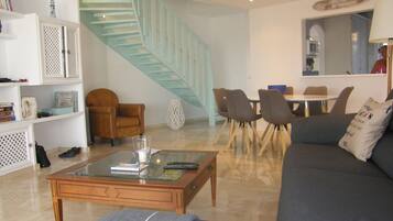 TV connectée, cheminée, lecteur de DVD, livres