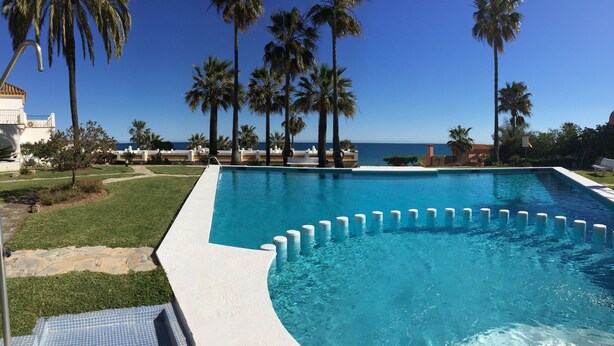 A swimming pool with clear blue water, surrounded by palm trees and a view of the ocean.