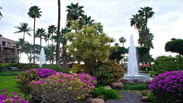 Un giardino con palme, una fontana e fiori viola.