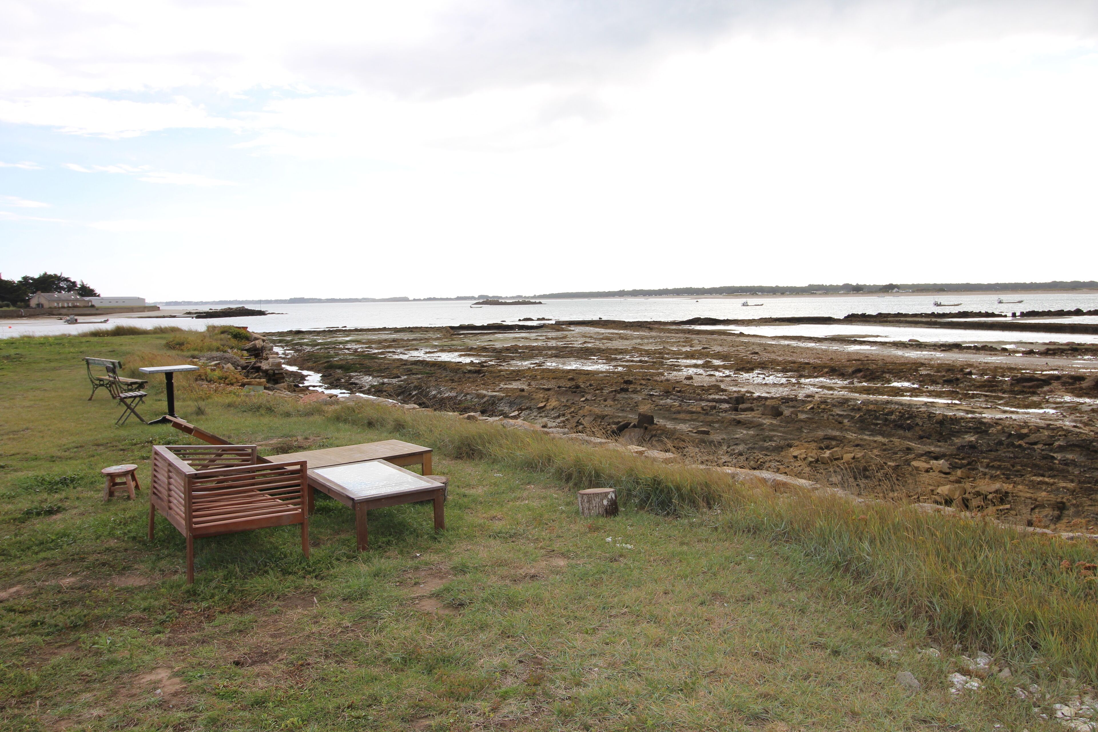 Une zone côtière avec un banc et une table en bois installés sur une pelouse, offrant une vue sur une côte rocheuse.