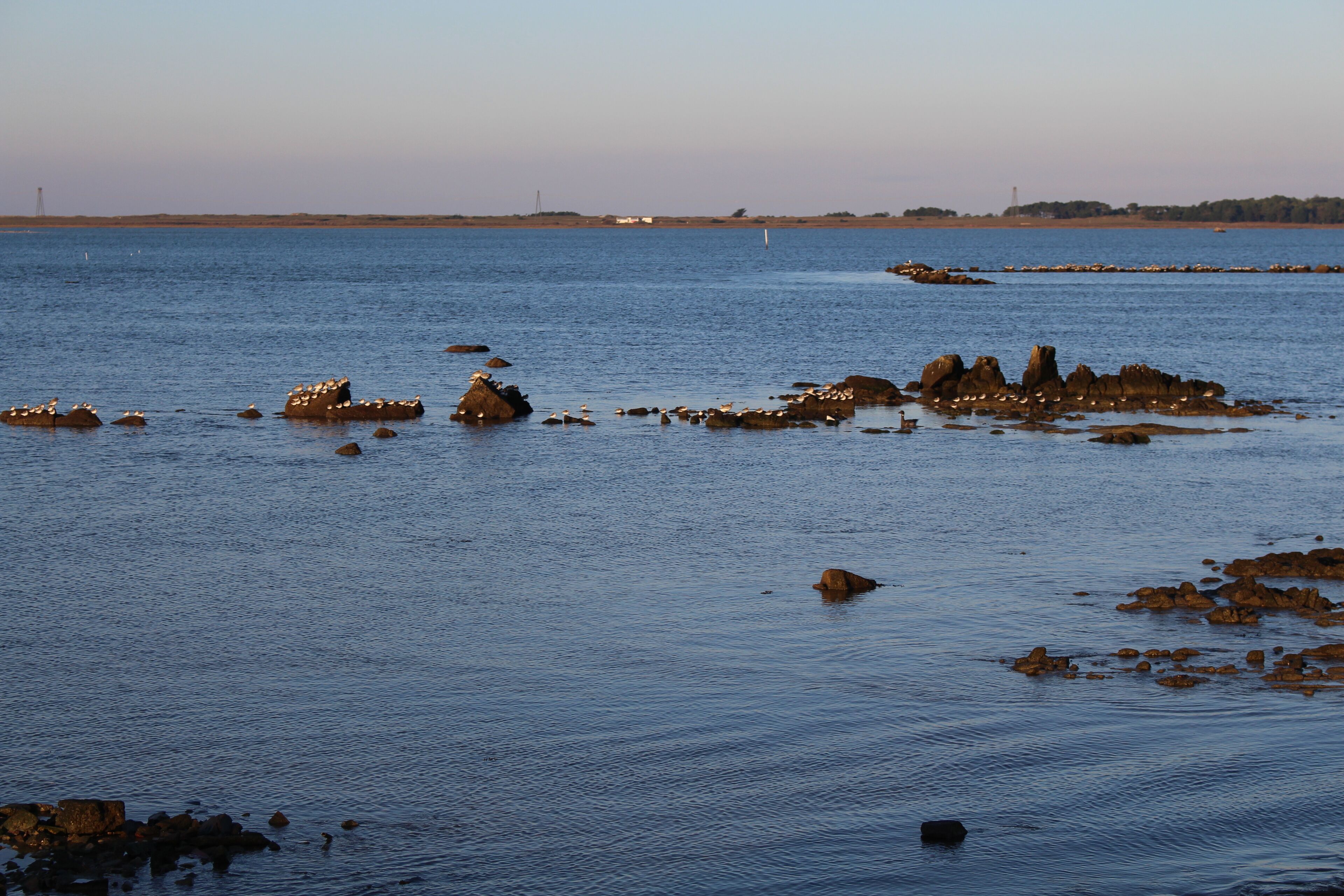 A coastal landscape with scattered rocks and calm water.
