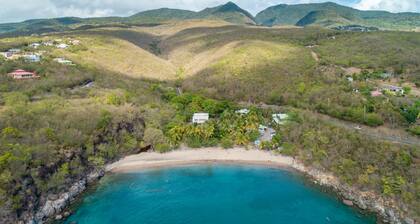 Nature, feet in the water
