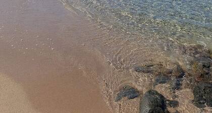 TrĂšs jolie maison tout confort au calme.